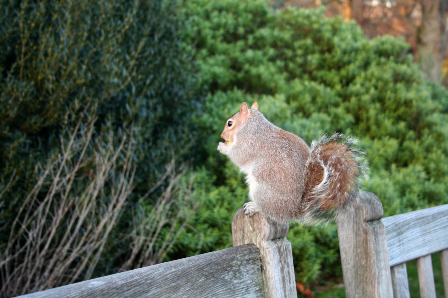 Londres15 by HContadas.jpg