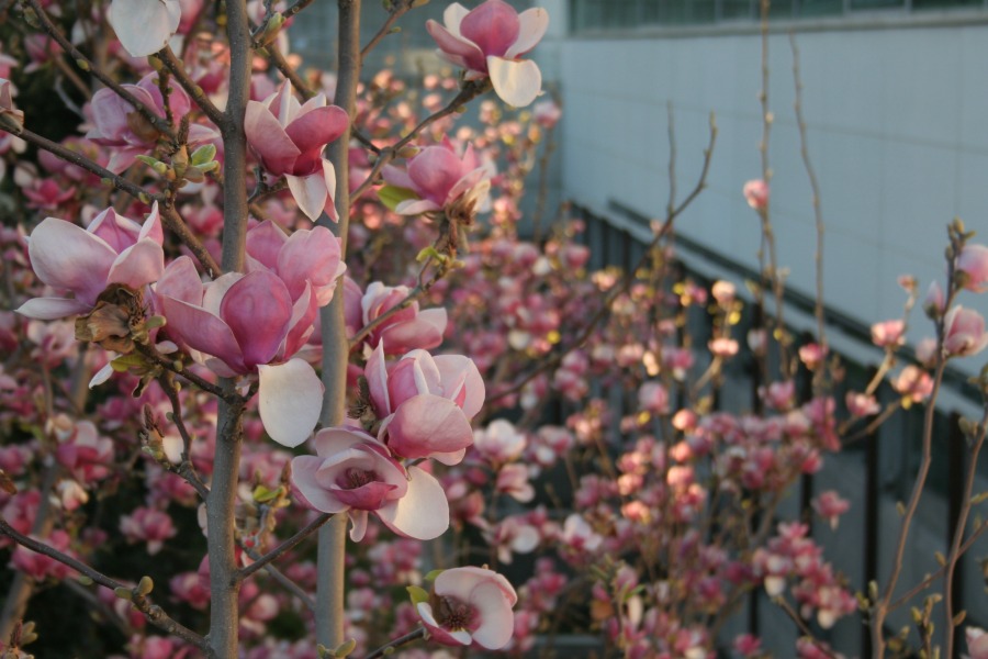 Expo05 by HContadas.jpg