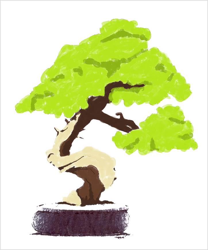 Bonsai final.jpg