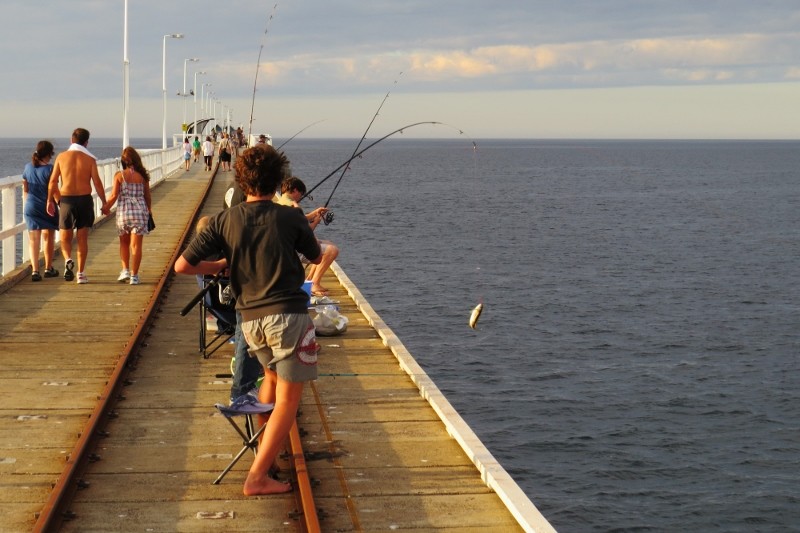 jetty 4 (800x533)