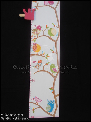 Placa de porta e régua crescimento 