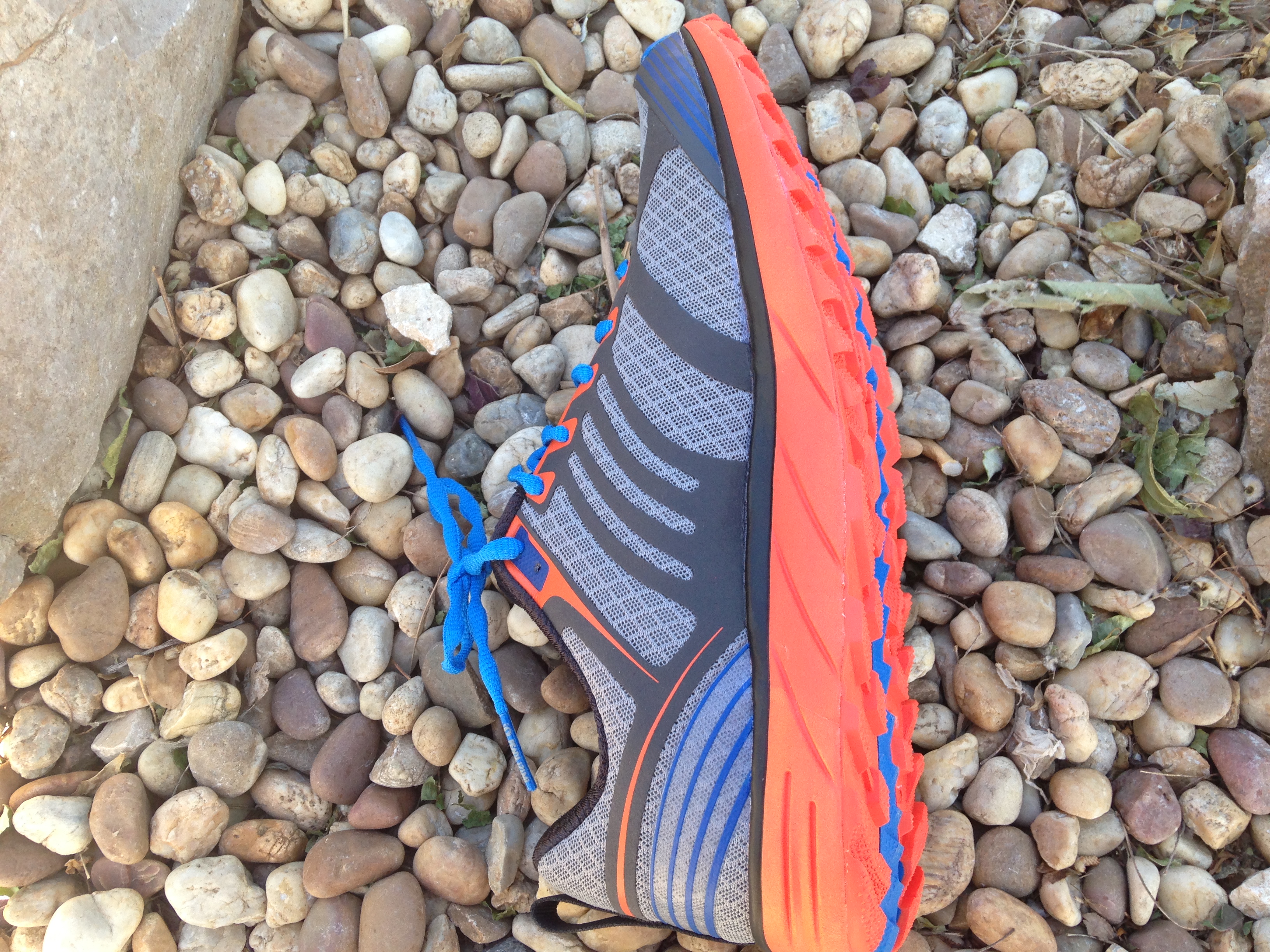 IMG_1445.JPG IMG_1445.JPG