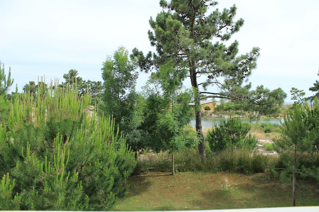 tróia beach club + amêijoas à bulhão pato + piscina + península de tróia + tróia resort + beach houses tróia resort +  férias em família + aqualuz hotel + viajar em família + férias perto de lisboa + praia + tróia-bico de lulas + escapadinha em família + hóteis bons para famílias  + beach houses tróia resort + sala de estar + decoração