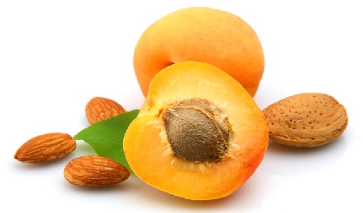 Apricot kernels (31-10-15)