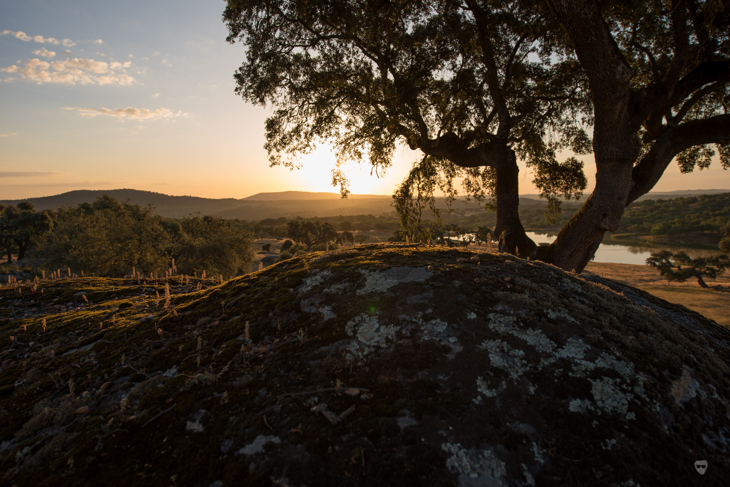 Monte Velho-28.jpg Monte Velho-28.jpg