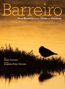 capa 1