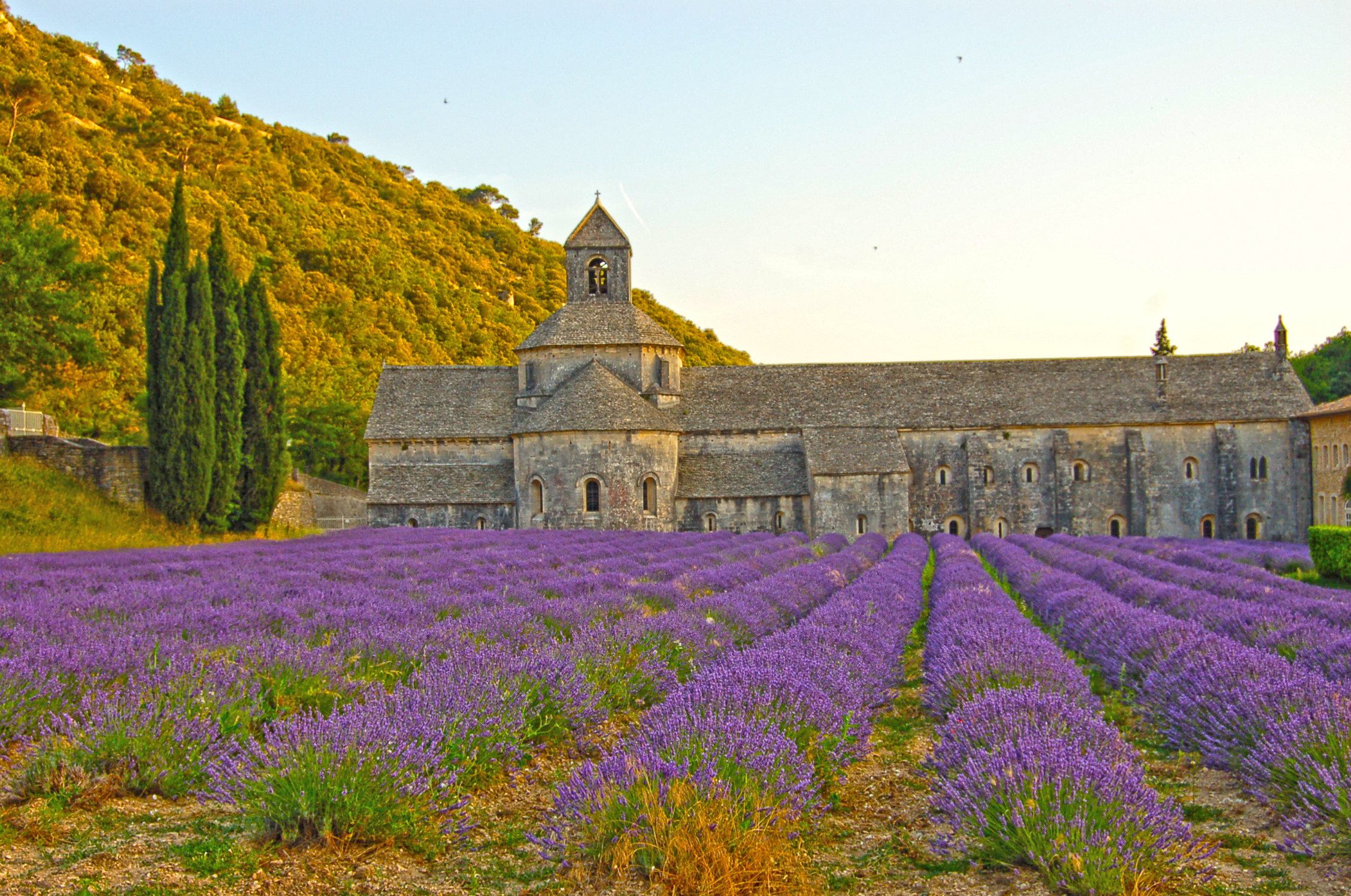 Abadia de Senanque Abadia de Senanque