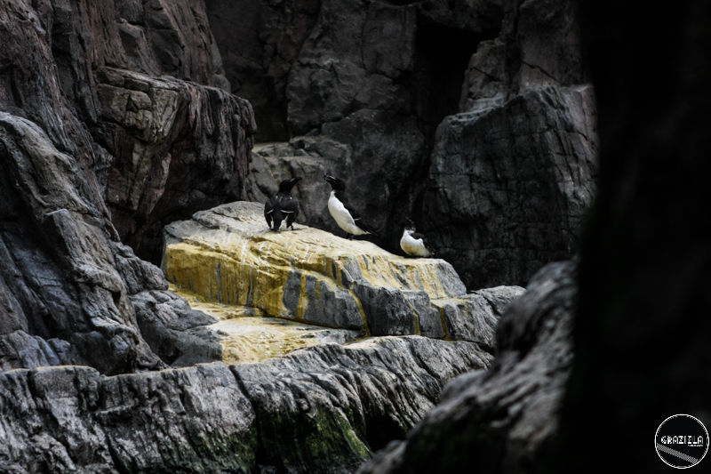 IMG_4615-7.jpg IMG_4615-7.jpg