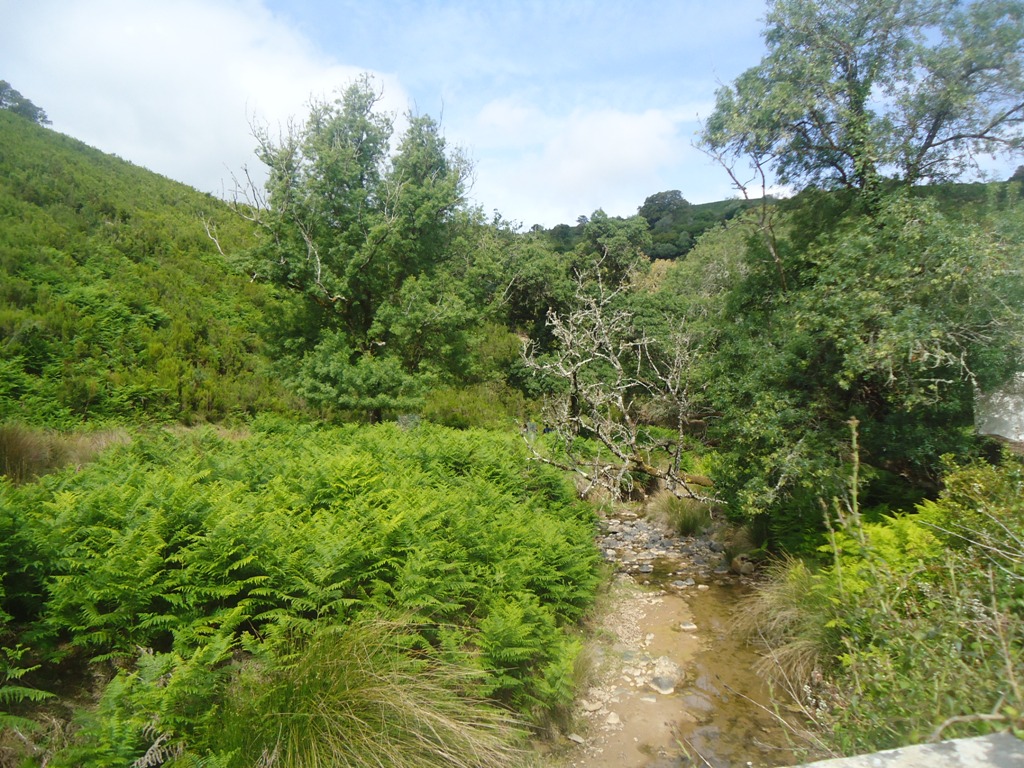 DSC03432.JPG DSC03432.JPG