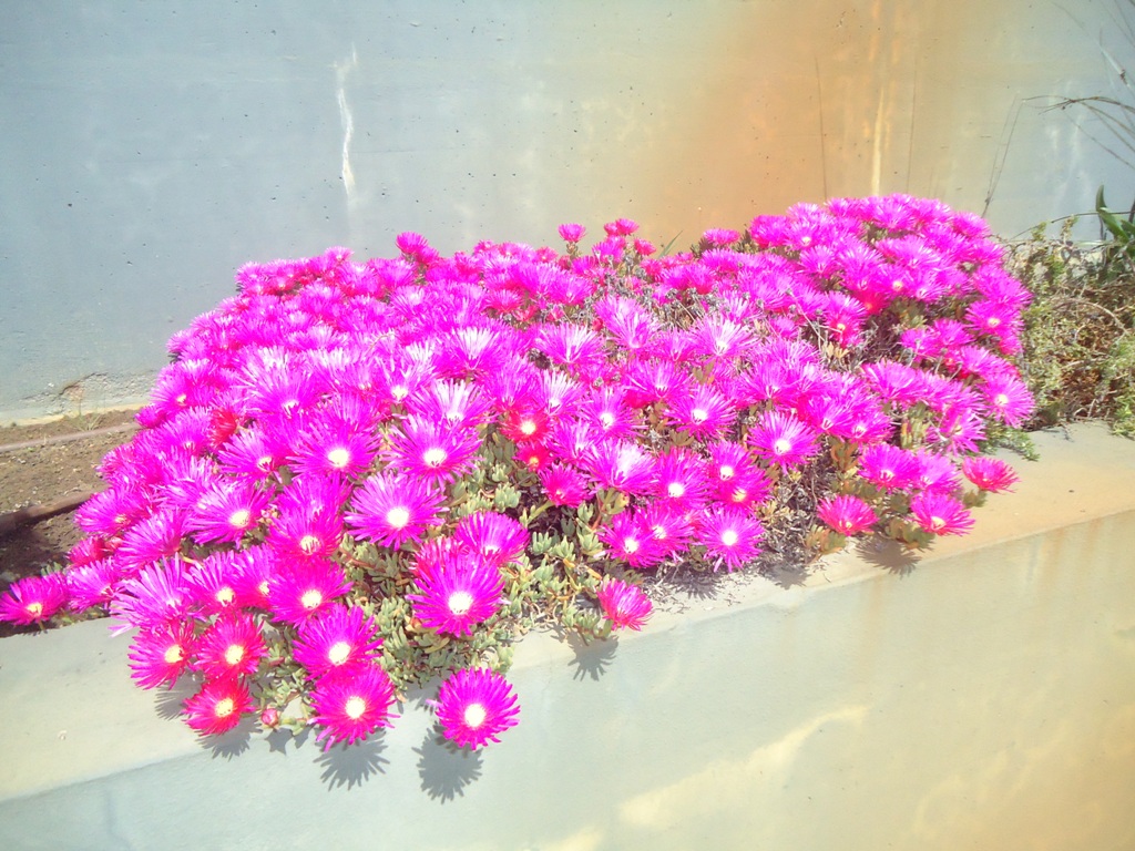 DSC05106.JPG DSC05106.JPG