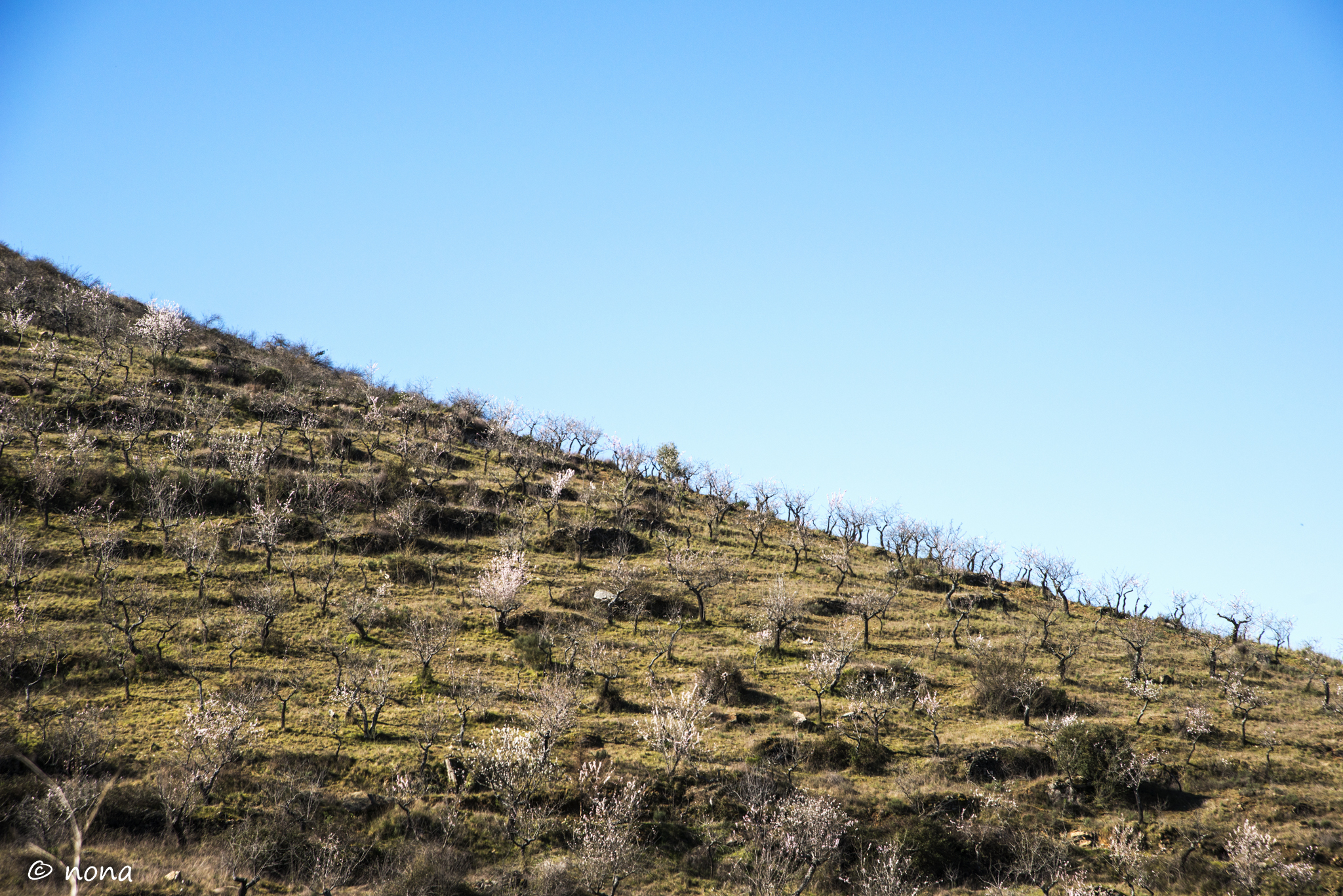 2015 - Rota das Amendoeiras (136).jpg