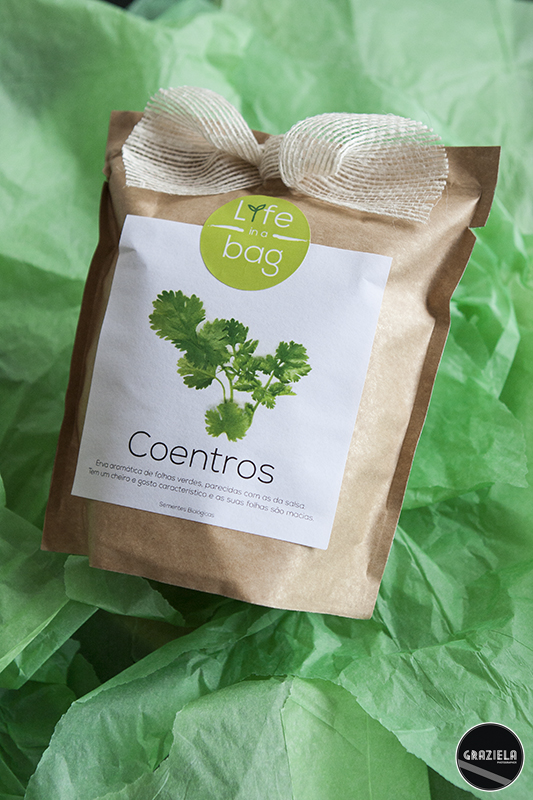 _MG_5818aa.jpg _MG_5818aa.jpg