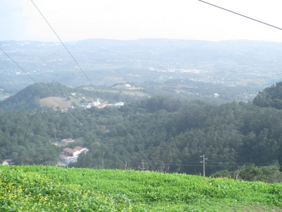 946054_742870795740343_1238229173_n