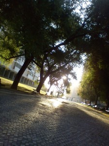 desedentarioamaratonista-olivais-treino