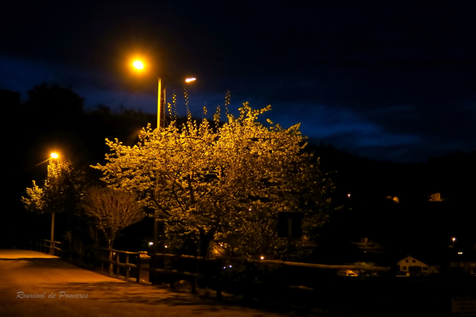 Pomares em Abril de 2015