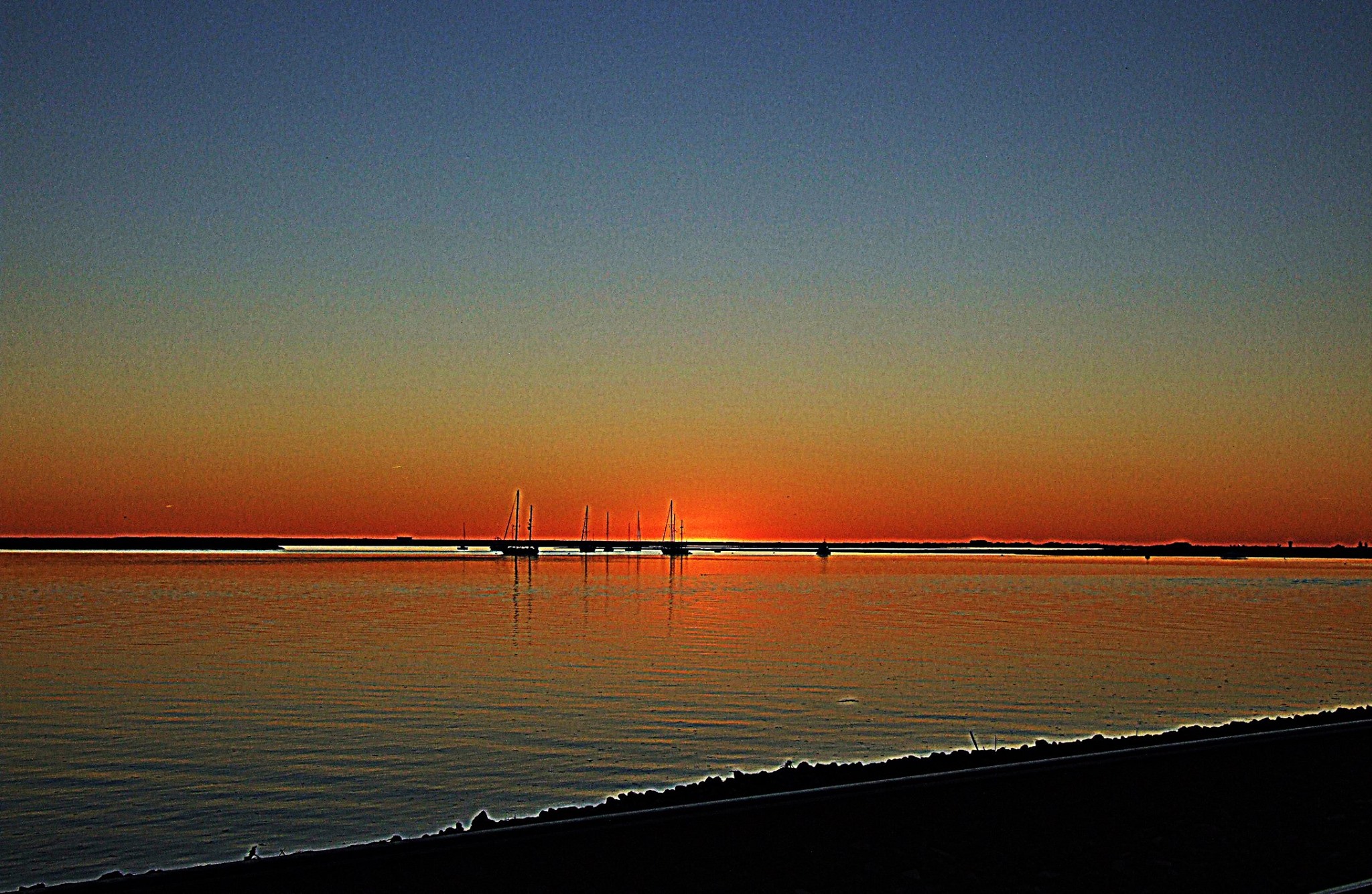 10931046_10200123003314377_6000747562074914131_o.j