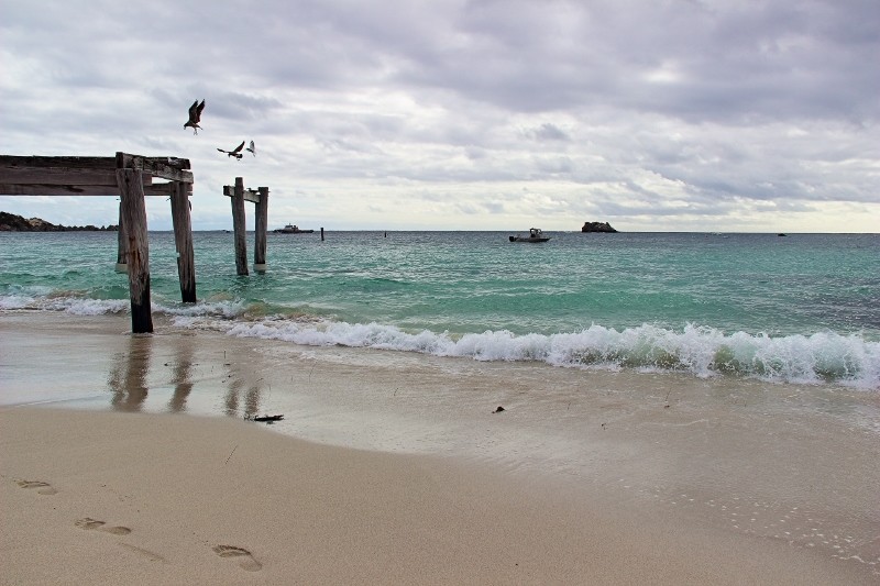 hamelin bay a 14 (800x533)