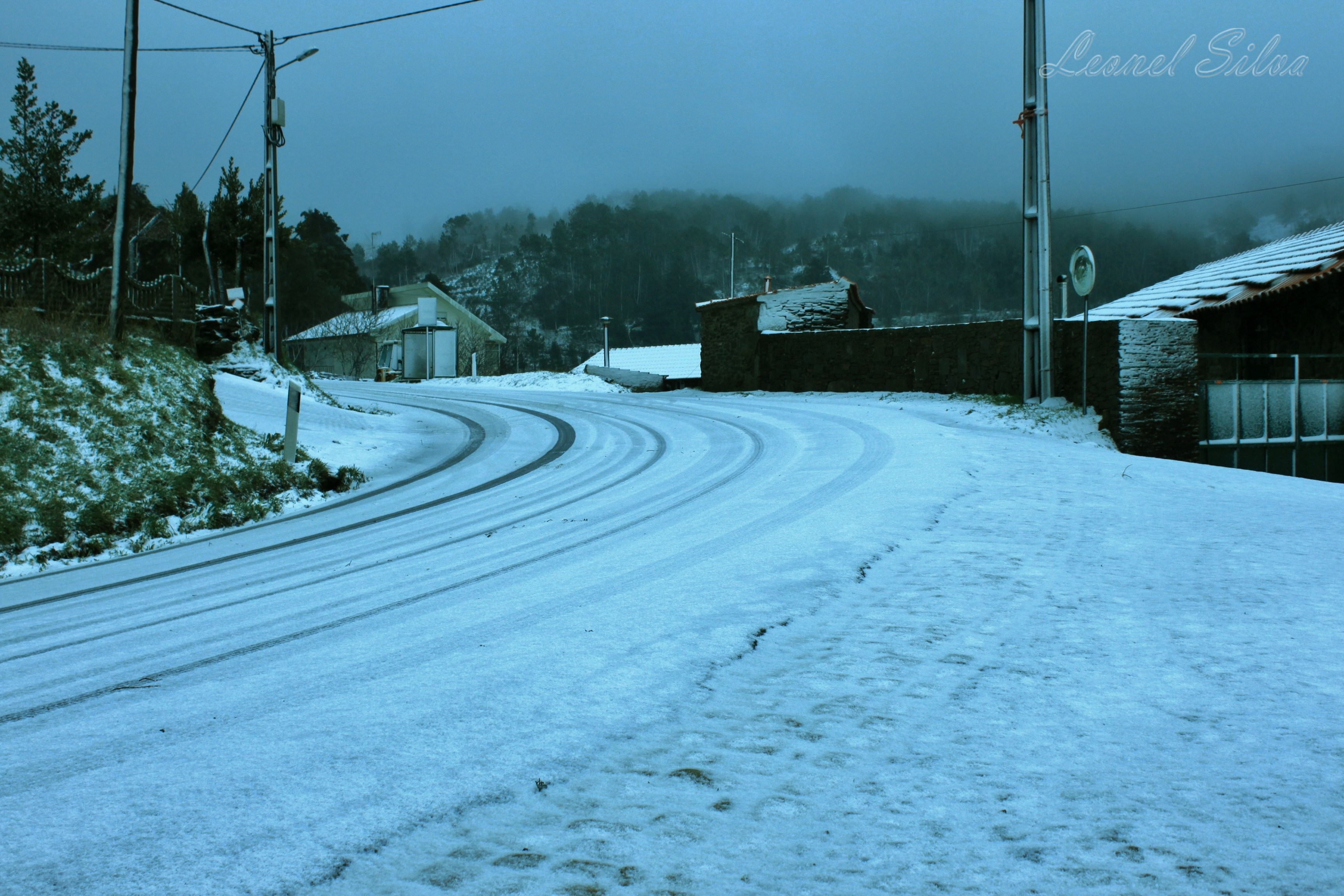 Guilherme Leonel - Avenue