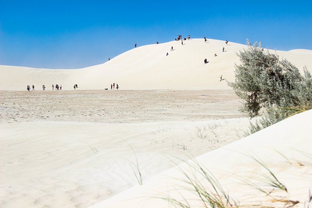 sandbourd lancelin 1