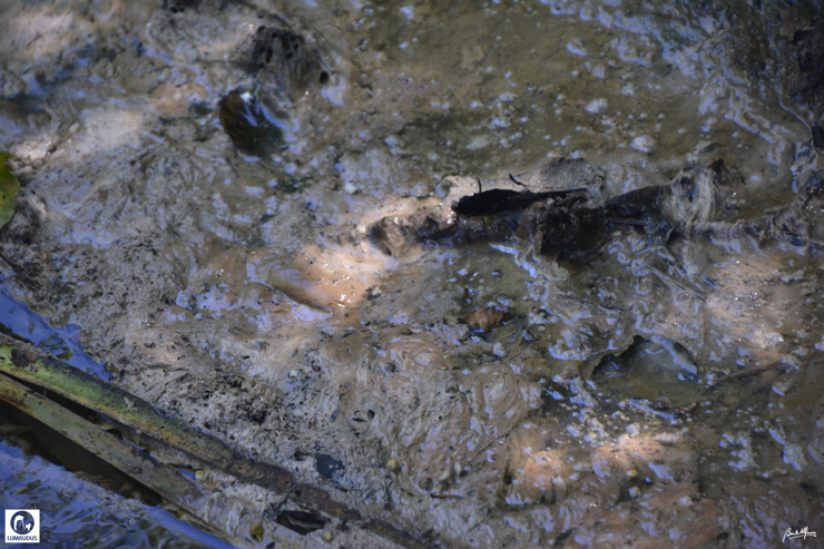 _D702424.JPG