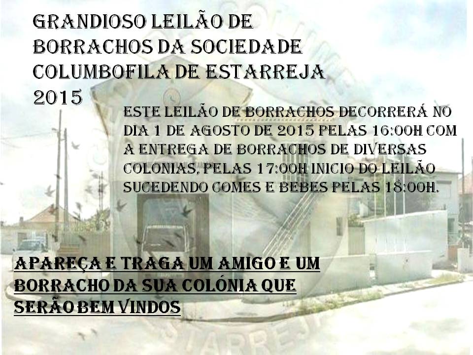 Leilão Estarreja.jpg