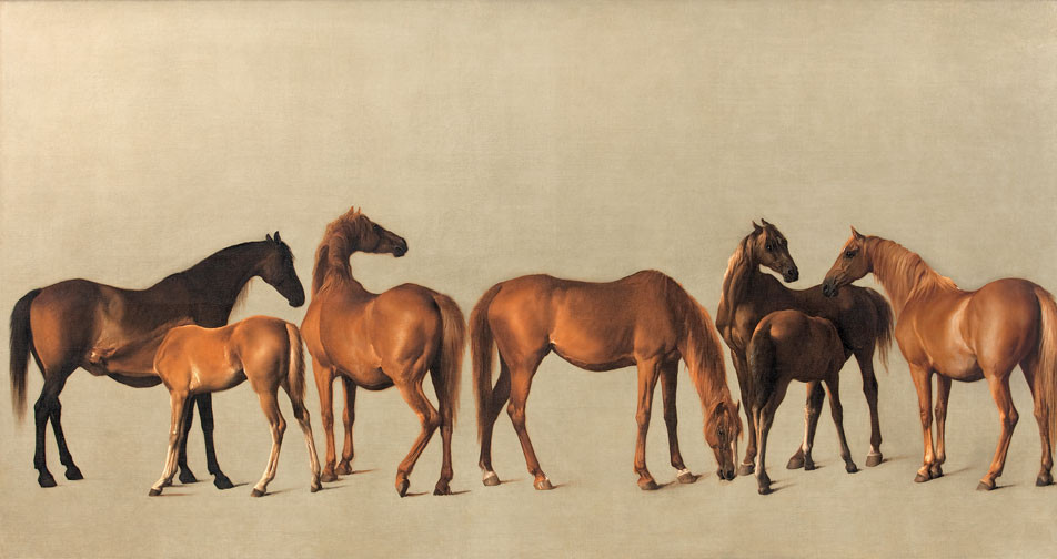 GEORGE_STUBBS