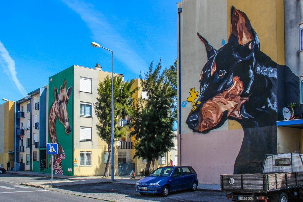 quinta do mocho o bairro i o mundo 4