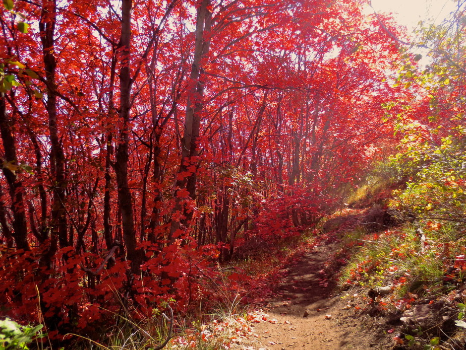 tumblr_mtad8vKbmp1rpa771o1_1280