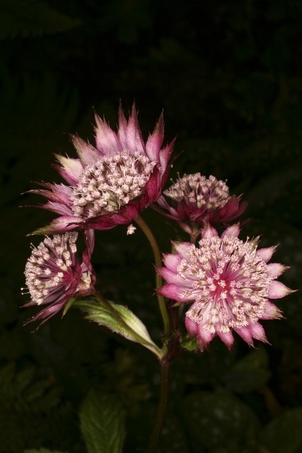 ??????????????????????????????????????????