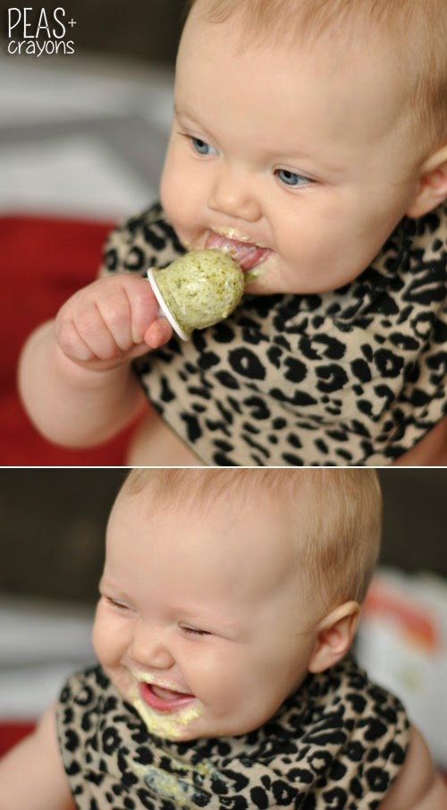 broccoli froyo baby pops with fruit and veggies 500 collage