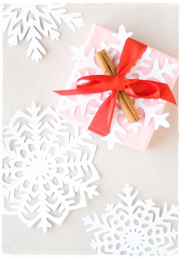 flocos de neve_2.jpg