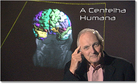 centelha humana