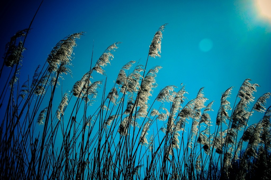 lagoa da estacada a 19