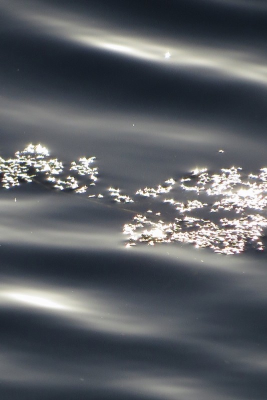 hyde park 1 (533x800)