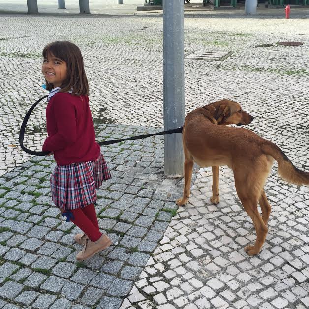 mada e cão.jpg