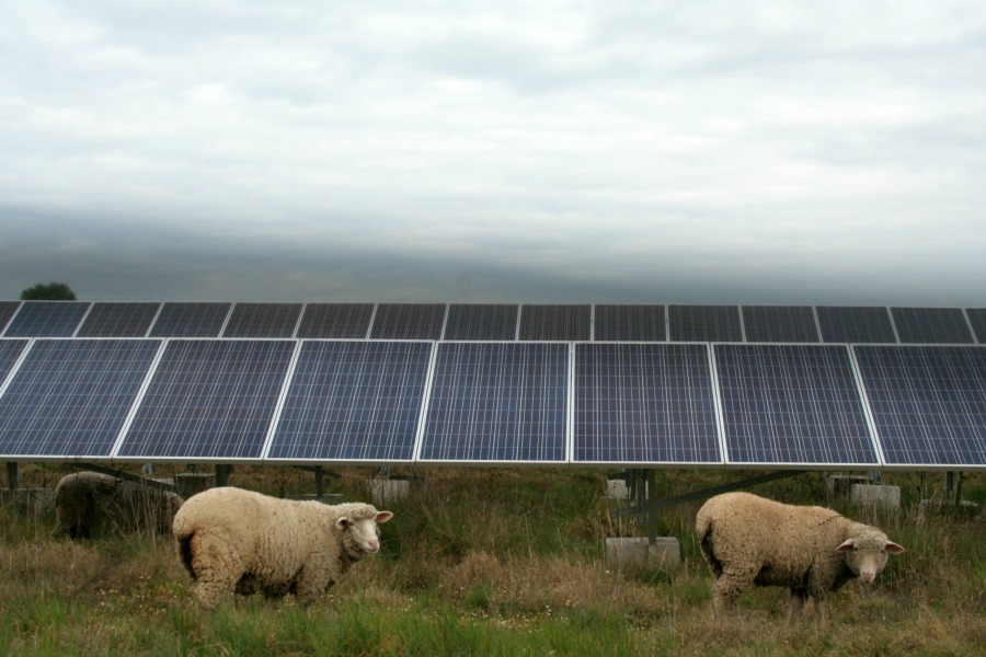 Ecorkhotel12 by HContadas.jpg