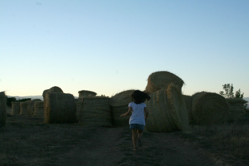 PNM27 by HContadas.jpg