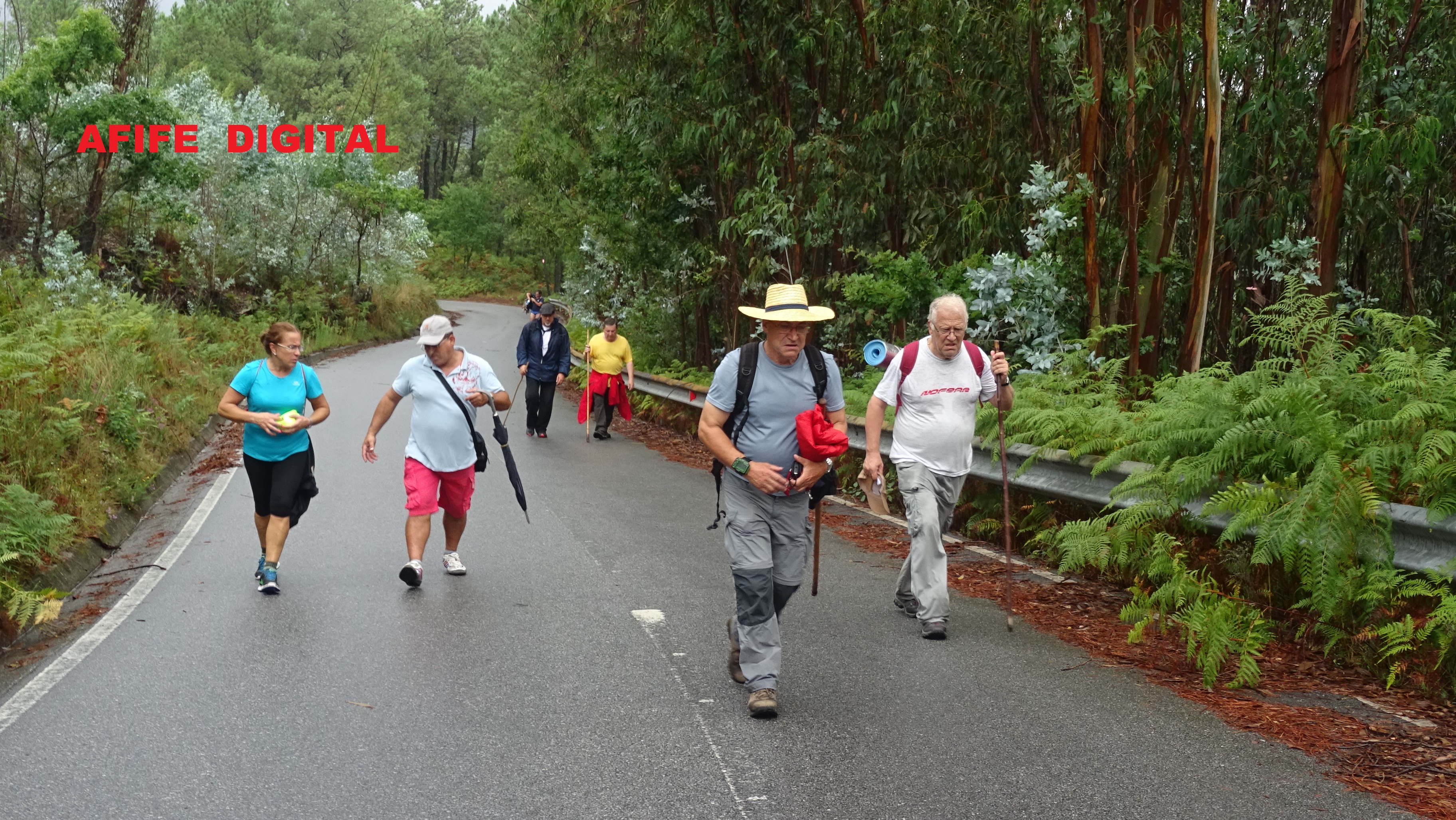 DSC02490.JPG DSC02490.JPG