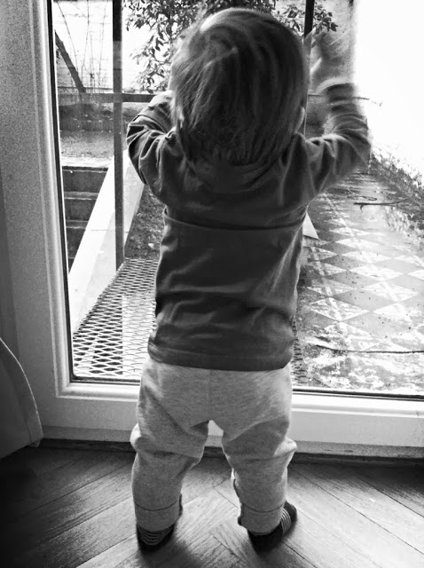 crianças à janela + os primeiros passos + viver expatriado + viver em Brixelas + ter filhos em bruxelas + o primeiro ano de vida dos bebés