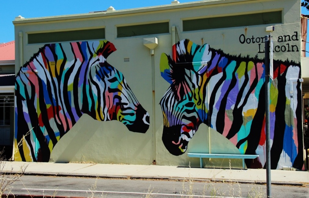 zebra perth urban art 2