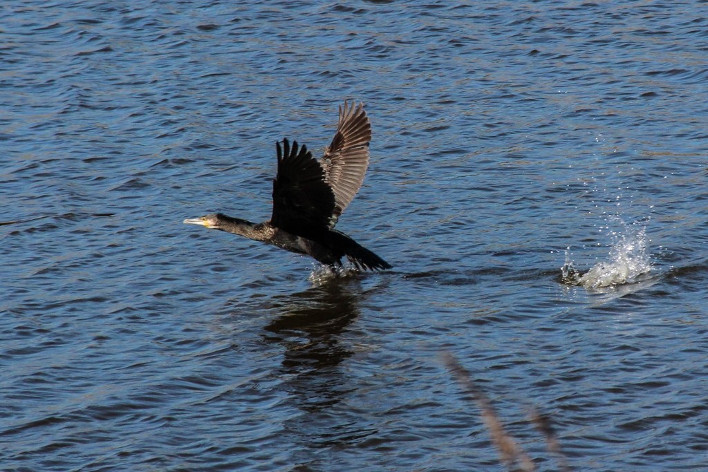 lagoa da estacada a 10