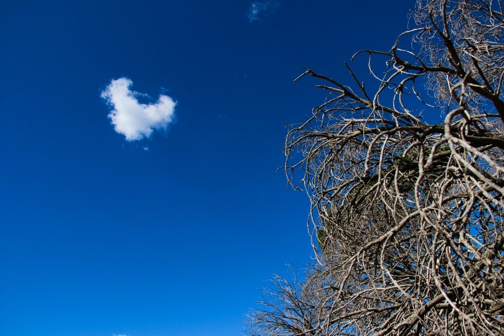 heirisson island perth-116 (1024x683)