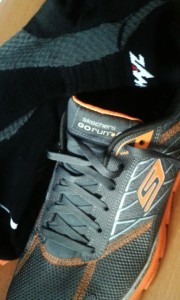 skechers-go-run-zamst