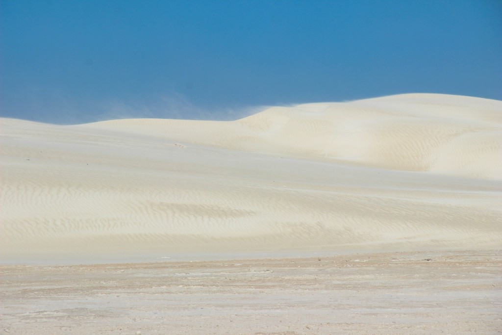 sandbourd lancelin a 13