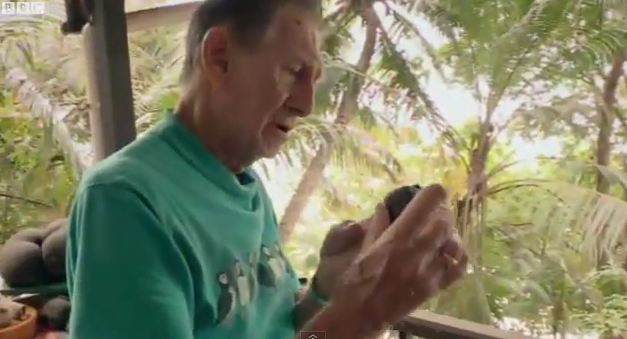 tartarugas seychelles