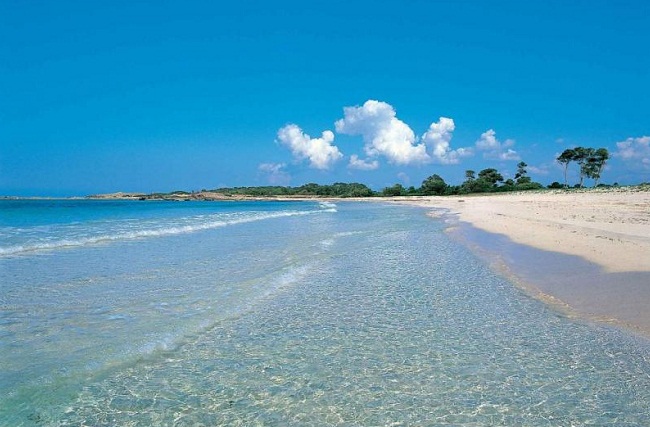 praia-de-alcudia-em-palma-de-maiorca.jpg