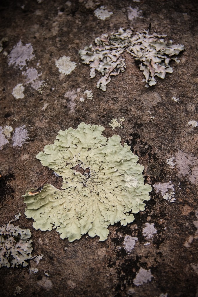 cascatas de mourao c 3