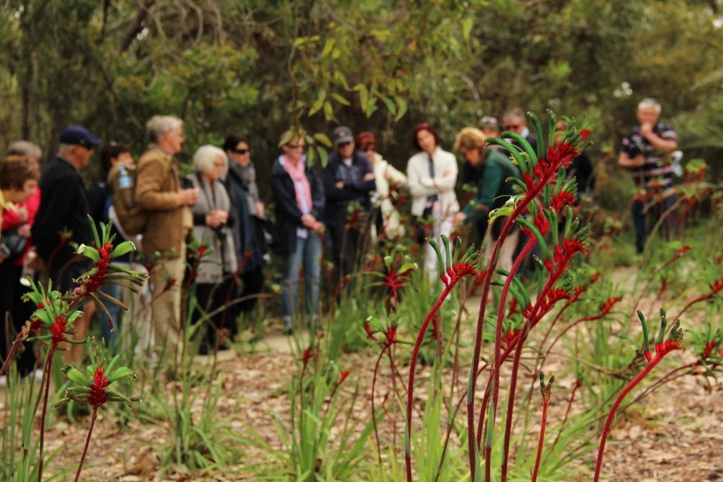 kings park walks and talks 2 (1024x683)