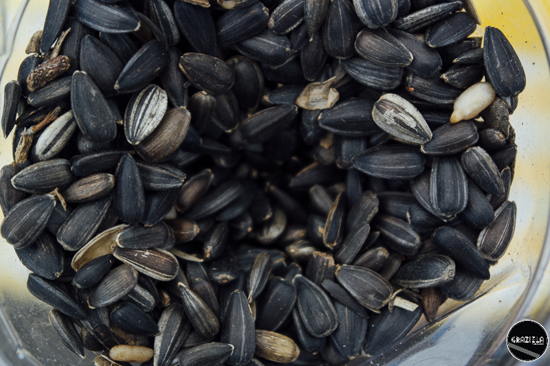 Julho-34.JPG Julho-34.JPG