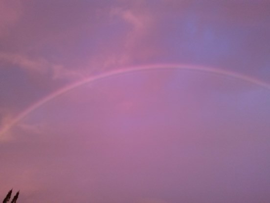 Céu cor-de-rosa.jpg